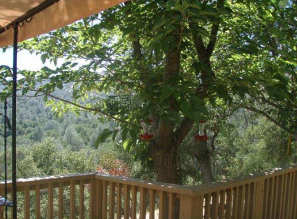 Yosemite Bed And Breakfast Mariposa Eksteriør bilde